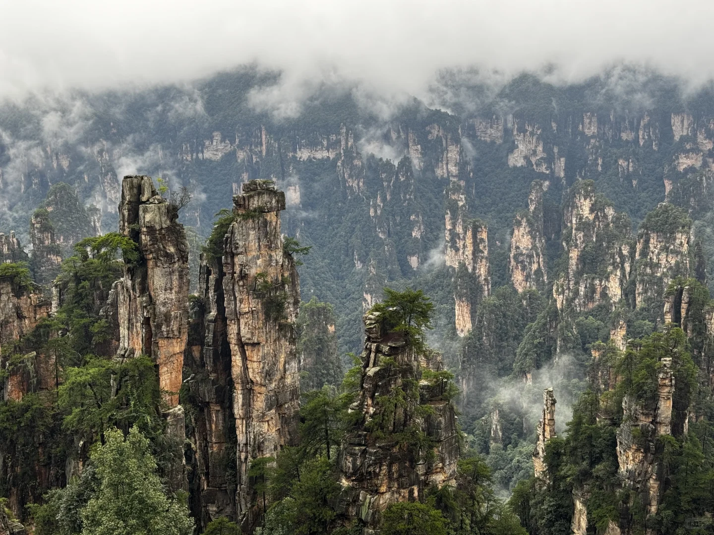 仙境之阿凡达故里