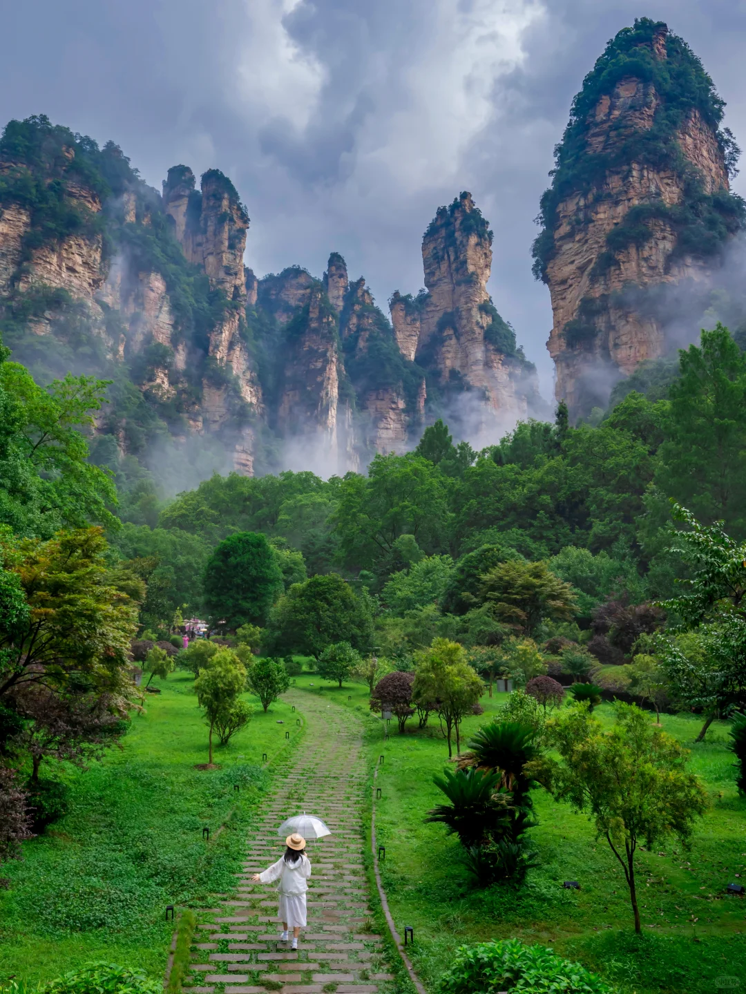 作为湖南人，真的后悔才来张家界，附详细路线