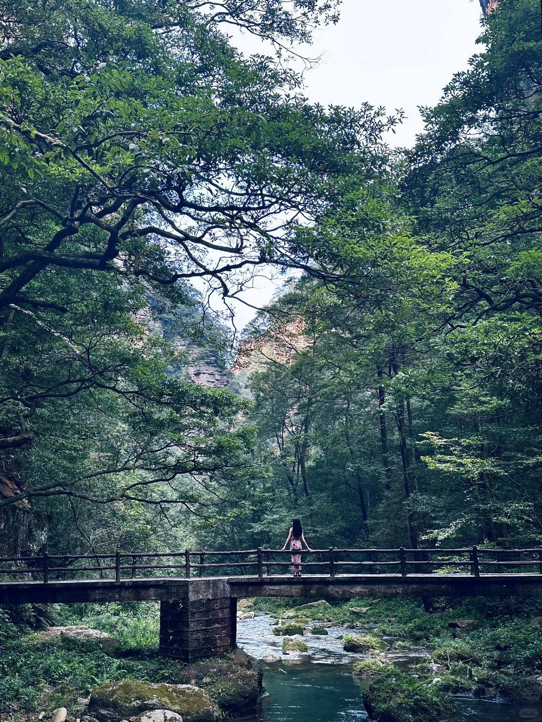 重生之我在张家界当野人