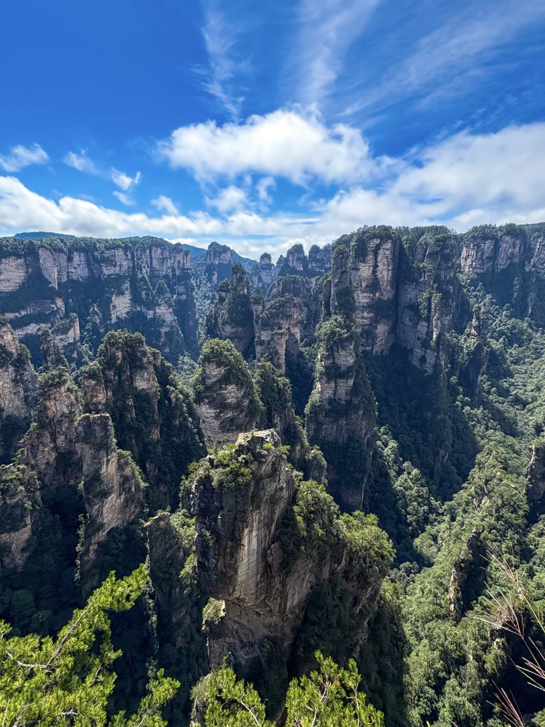 这才是张家界该有的样子