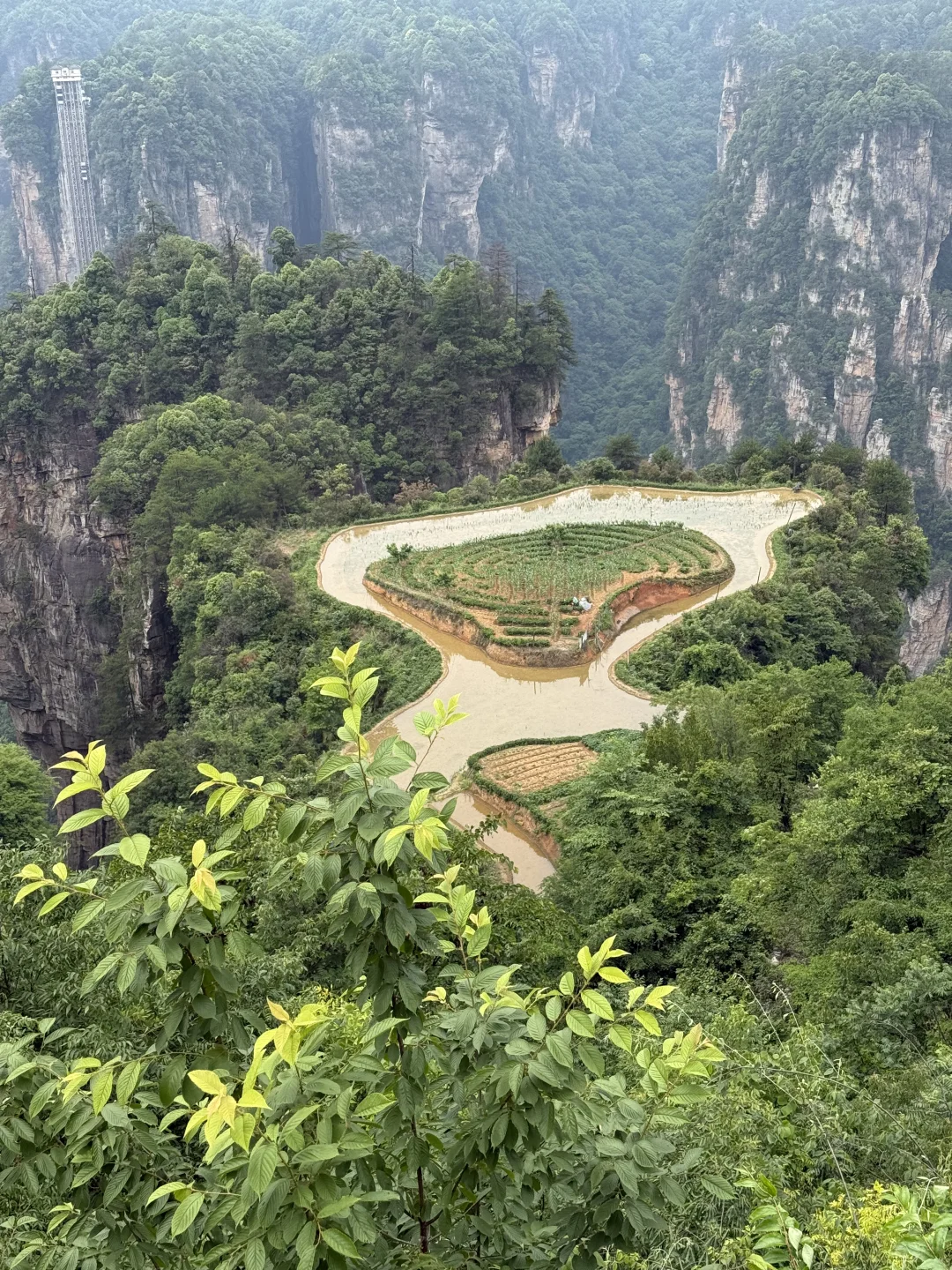 中国张家界国家森林公园～