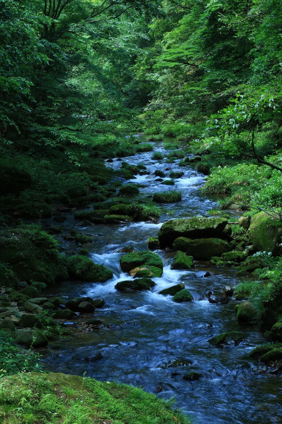 张家界很好，下次不来了！
