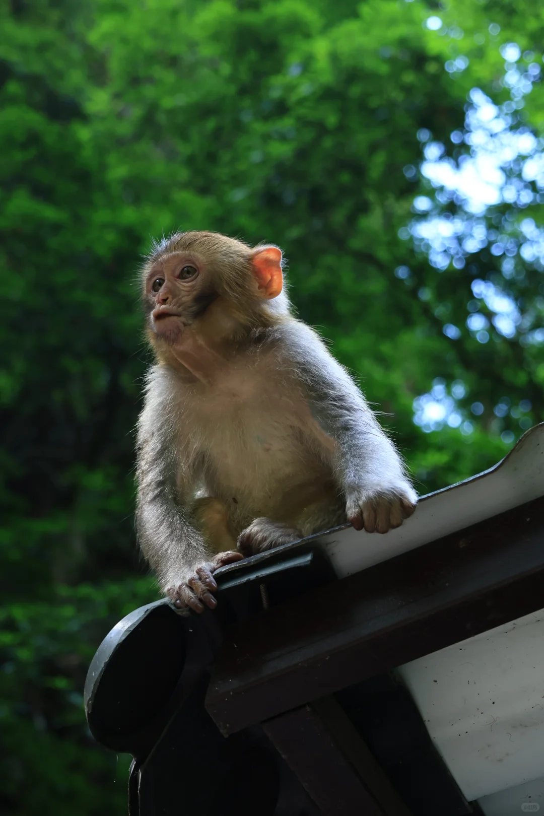 张家界很好，下次不来了！
