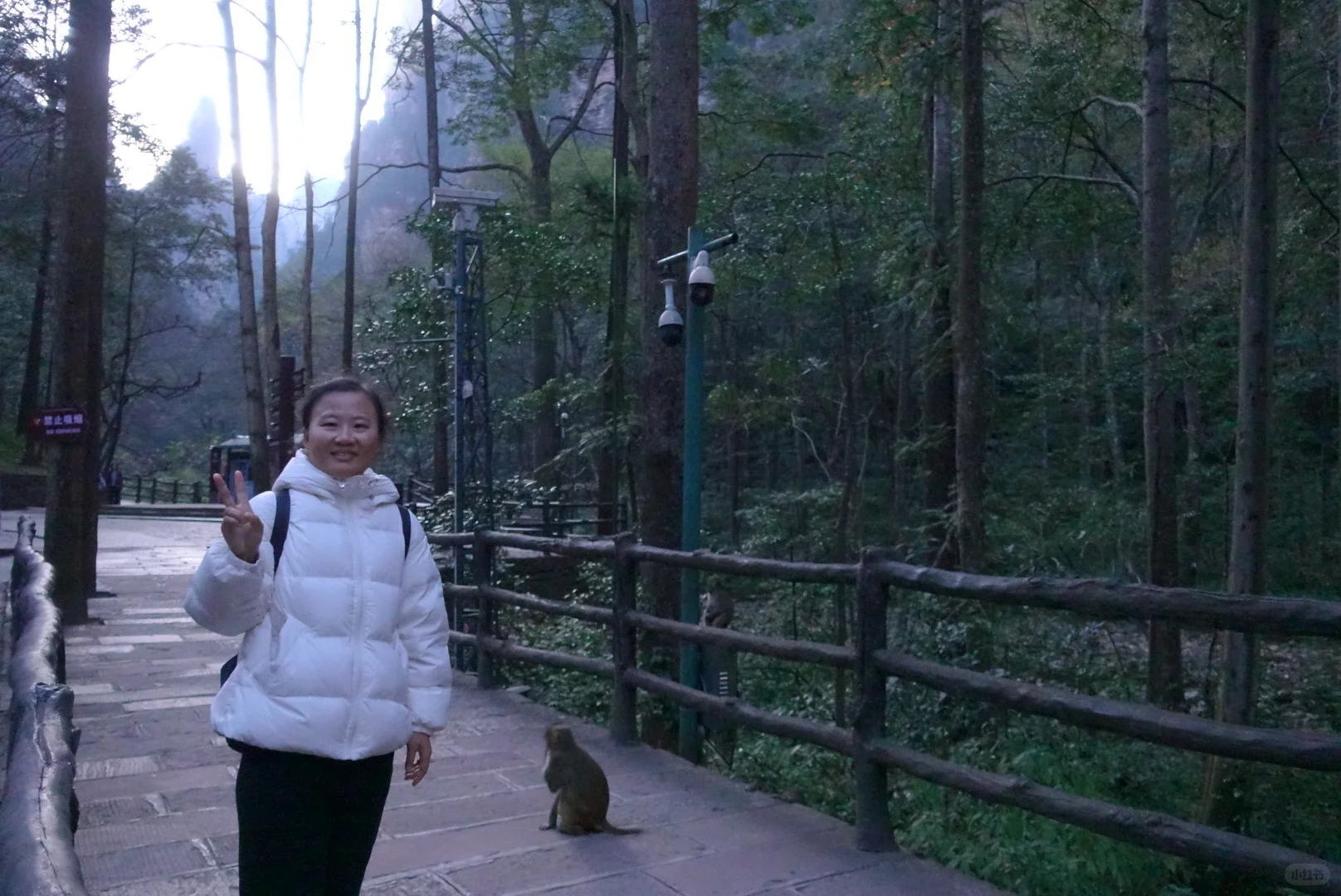 到站张家界第三天