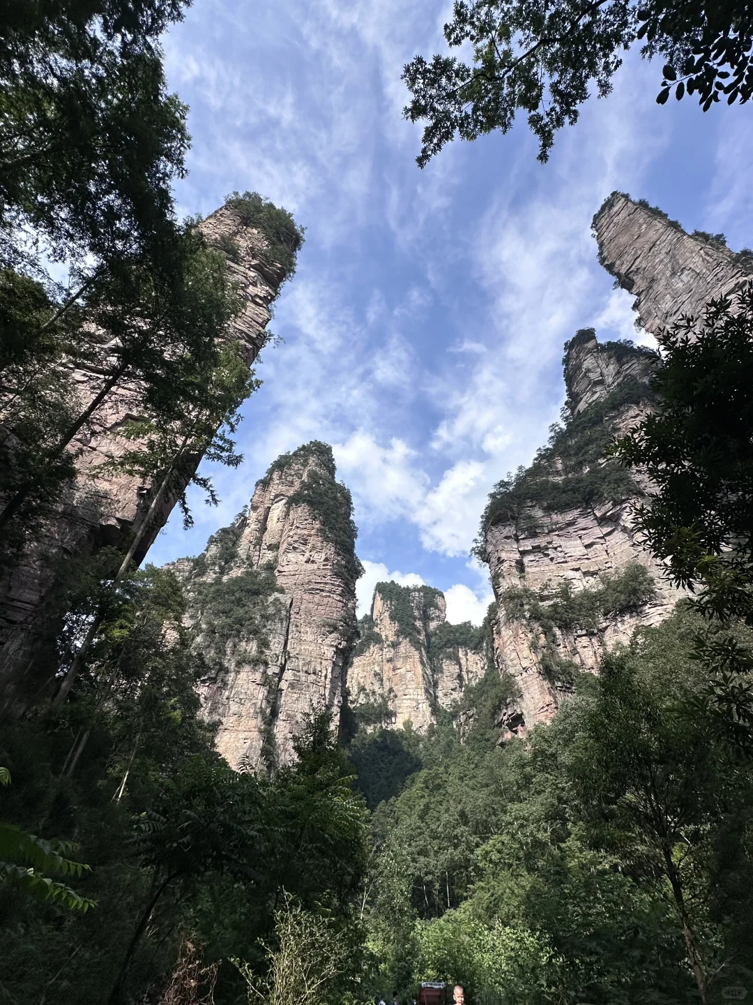 重生之我在张家界当野人