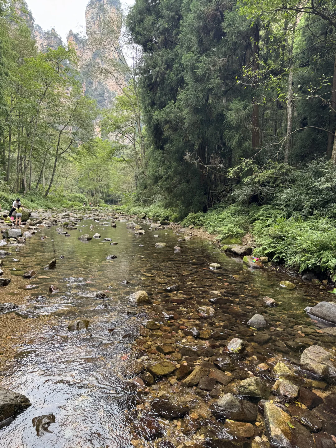 今天是蓝调的一天张家界之旅🪂