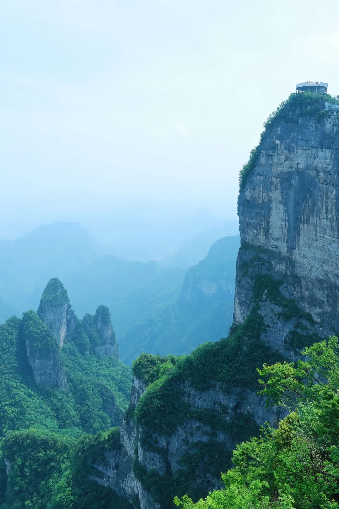 张家界已回（已被宰）内容很脏，但很真实！