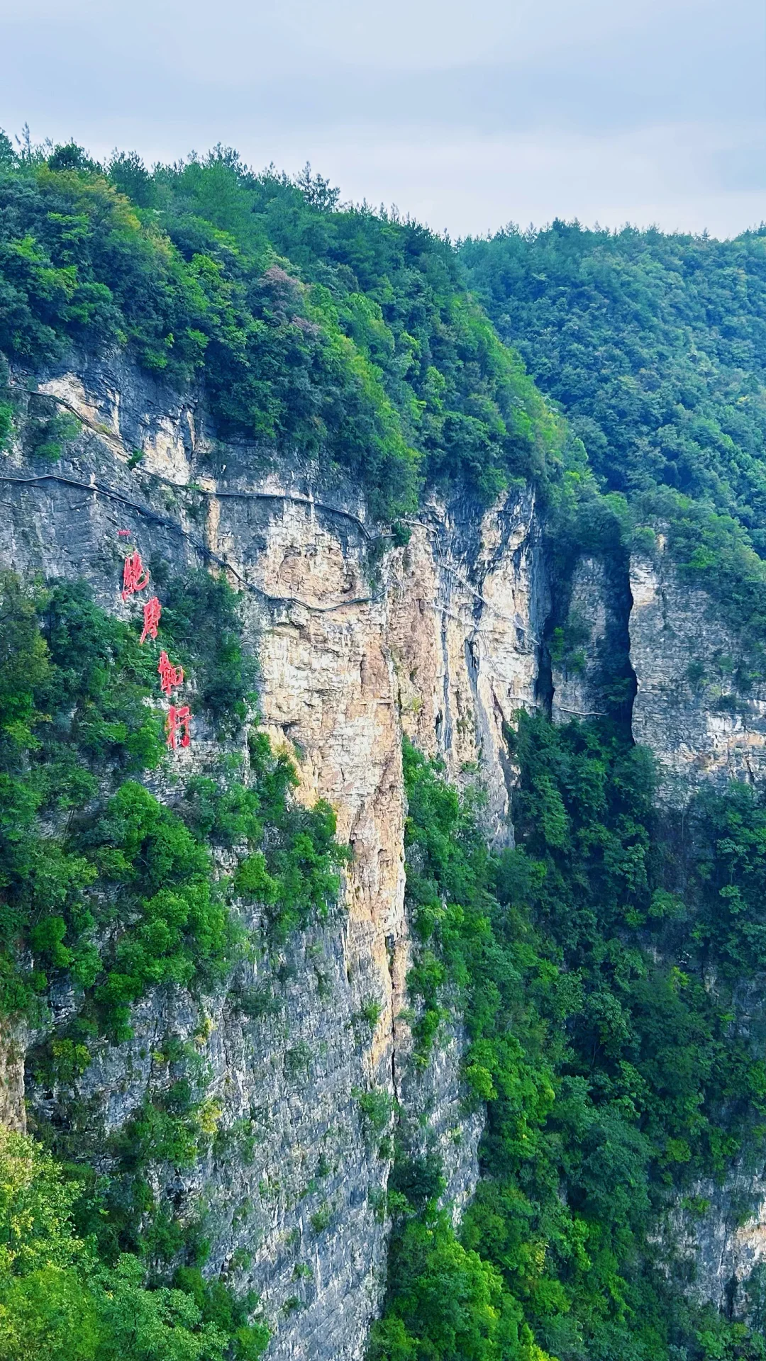 📍𝐙𝐡𝐚𝐧𝐠 𝐉𝐢𝐚 𝐉𝐢𝐞 · 大峡谷