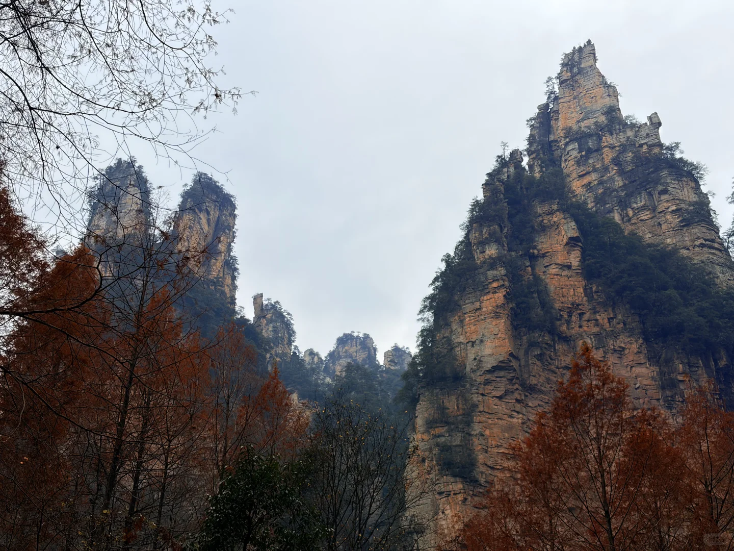 张家界国家森林公园之金鞭溪+黄石寨