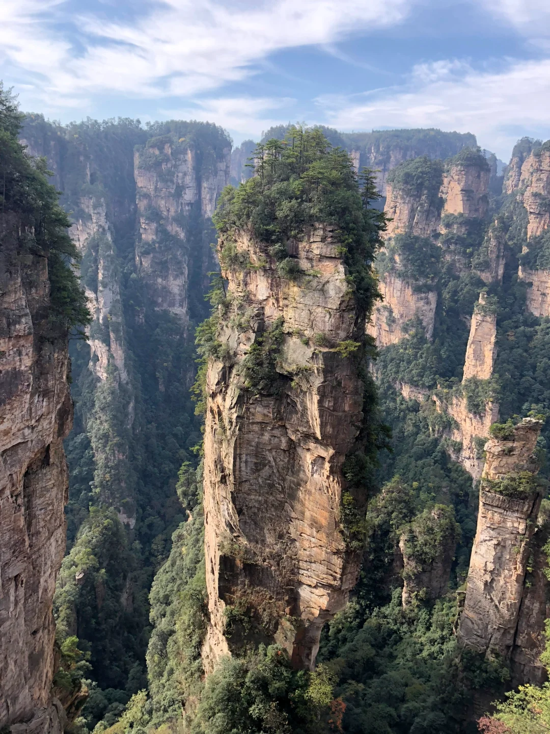 🌿闯入阿凡达星球！打卡张家界国家森林公园✨