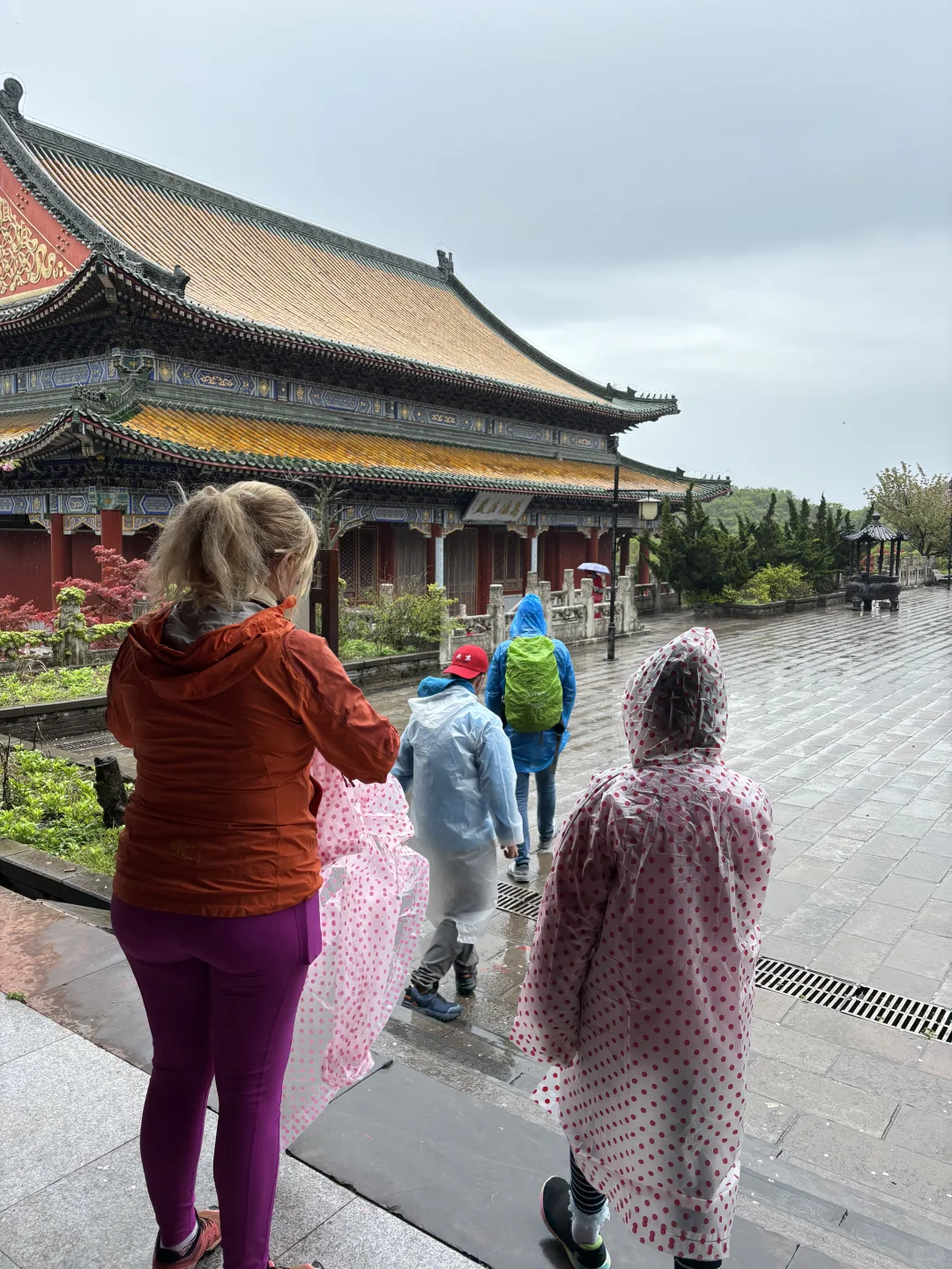 张家界英文导游|带团日记(四)