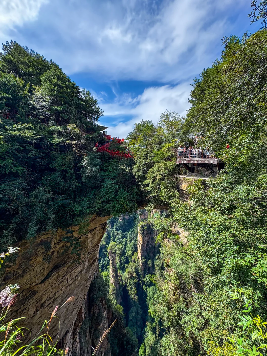 这才是张家界该有的样子