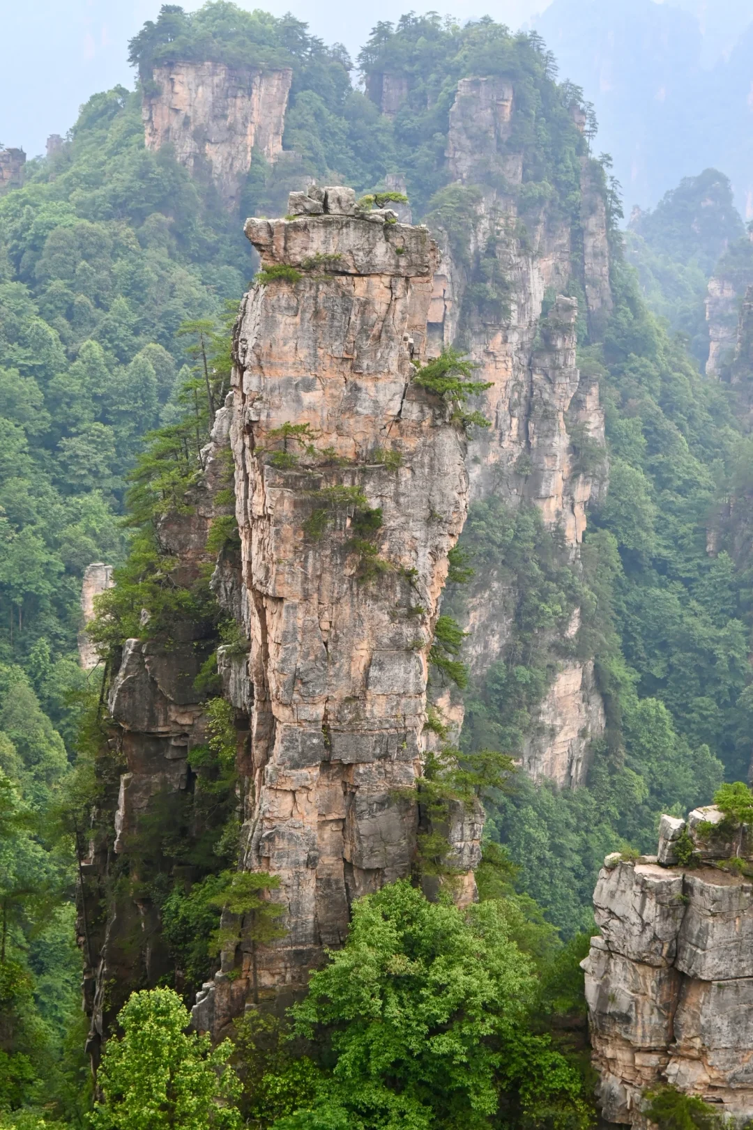 韩国人私藏的中国仙境 张家界