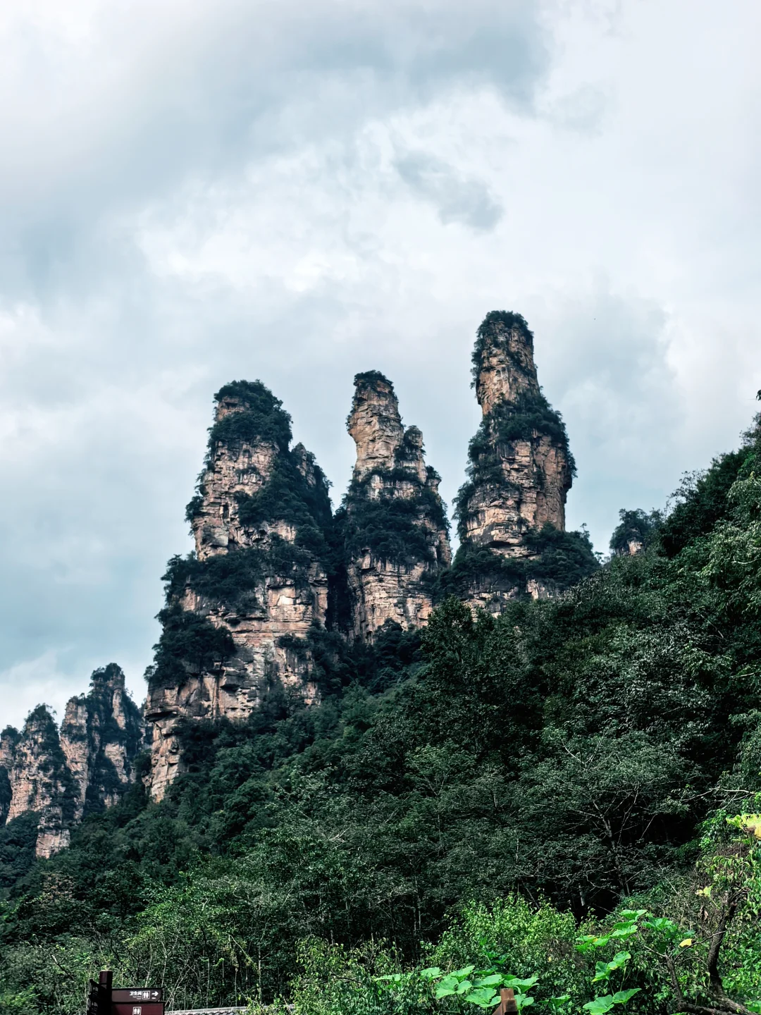 📍张家界 | 武陵源