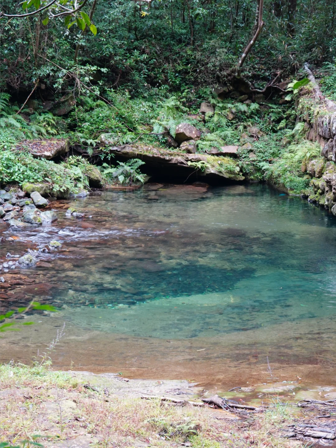 强推淡季的张家界‼️附攻略地图
