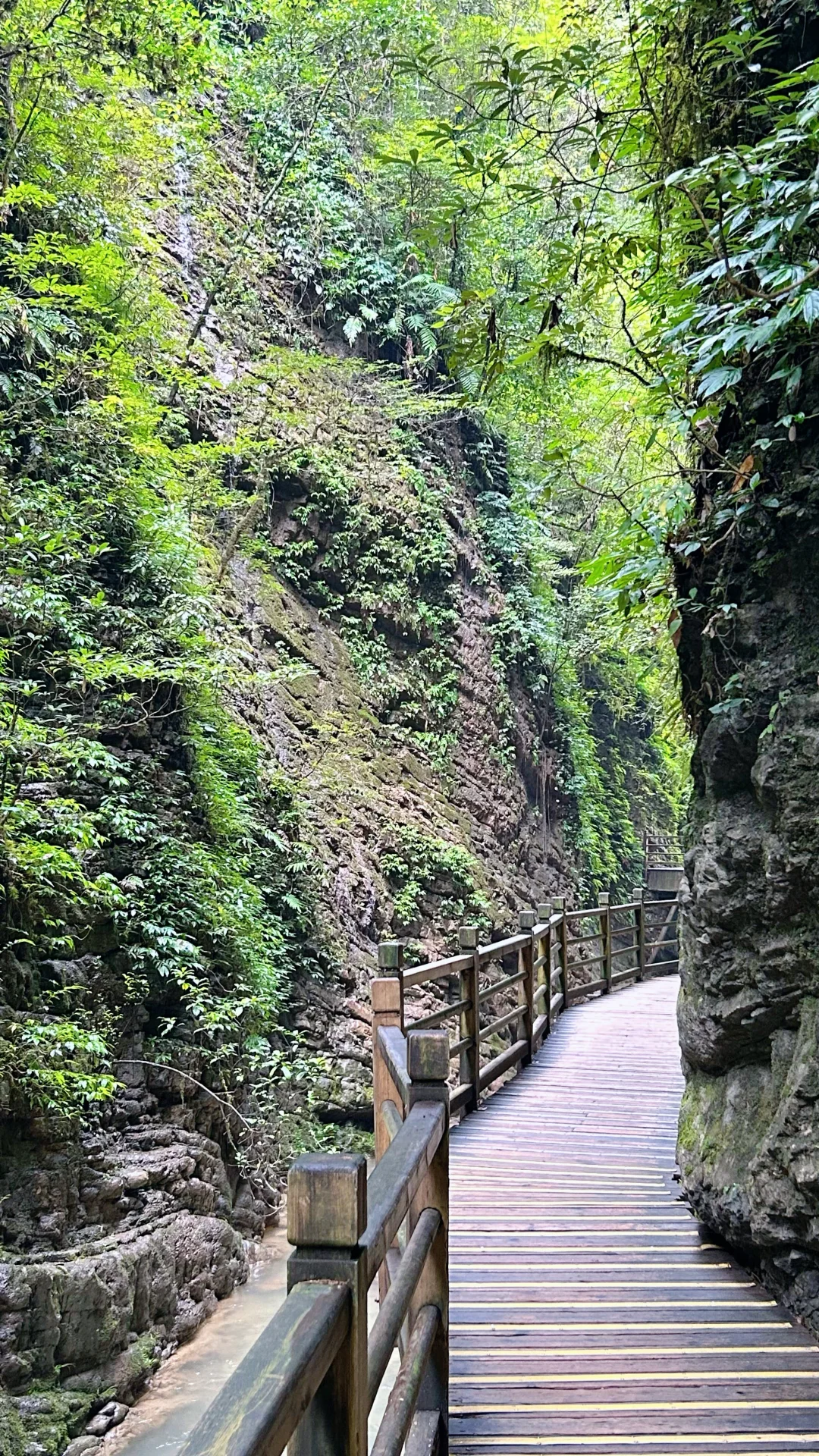 📍𝐙𝐡𝐚𝐧𝐠 𝐉𝐢𝐚 𝐉𝐢𝐞 · 大峡谷