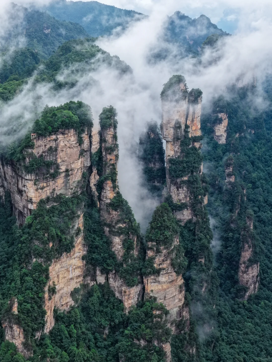张家界刚回，美疯了！！难怪韩国人超爱🙌🏻‼️