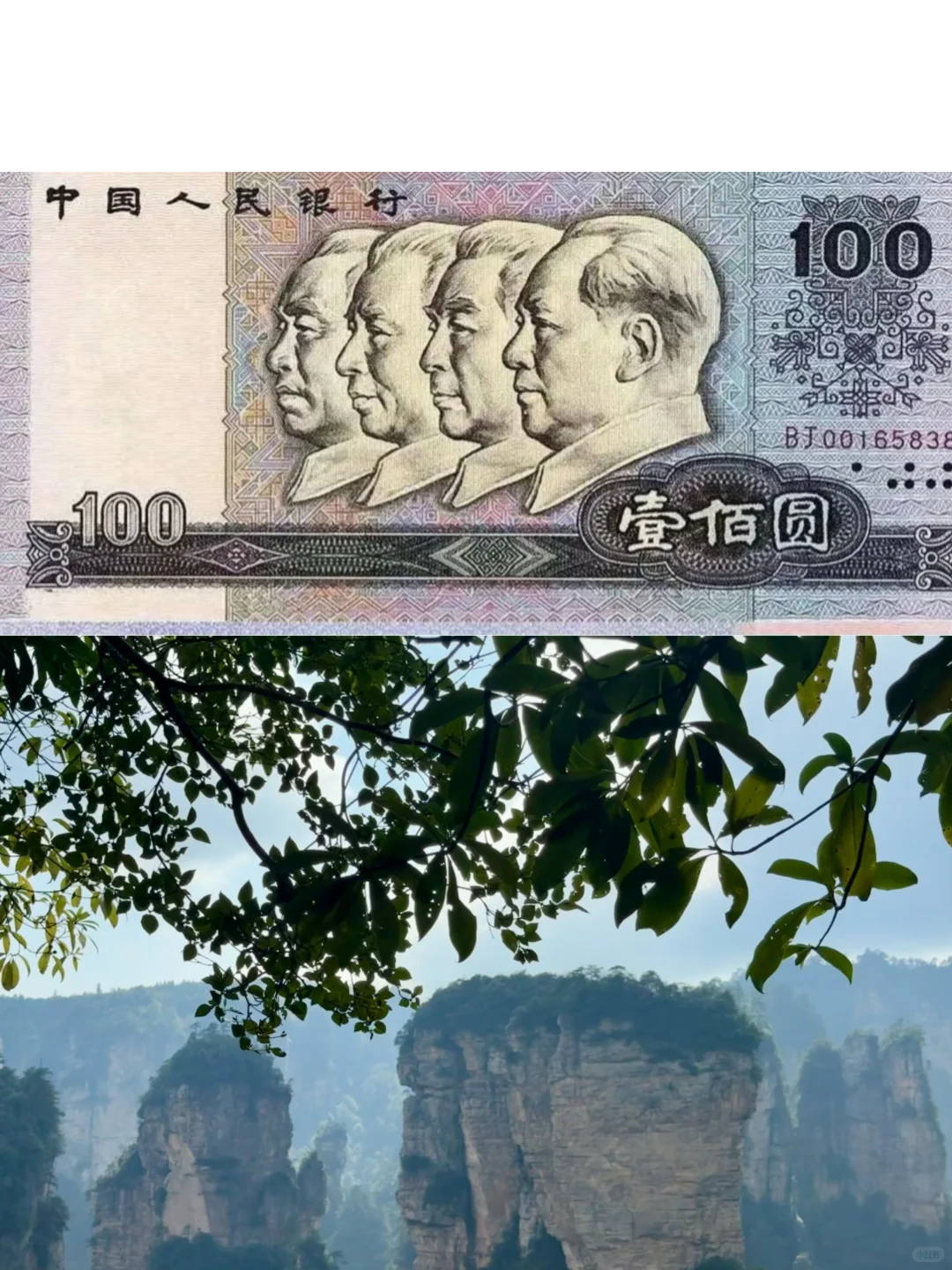 张家界⛰️交作业了！