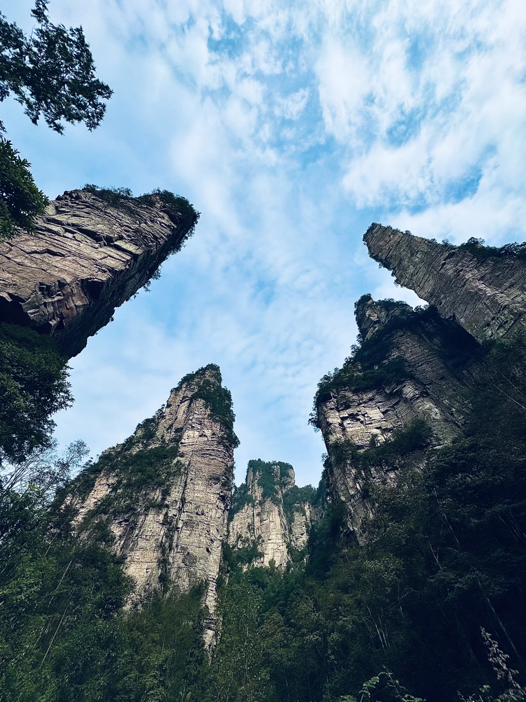 南国之旅9: 湖南张家界