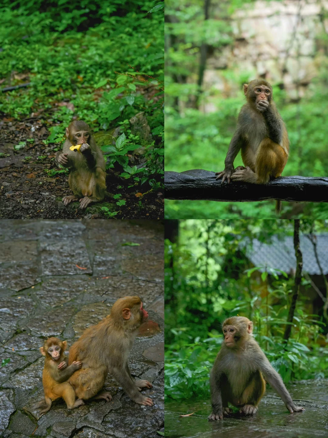 张家界刚回，美疯了！！难怪韩国人超爱🙌🏻‼️