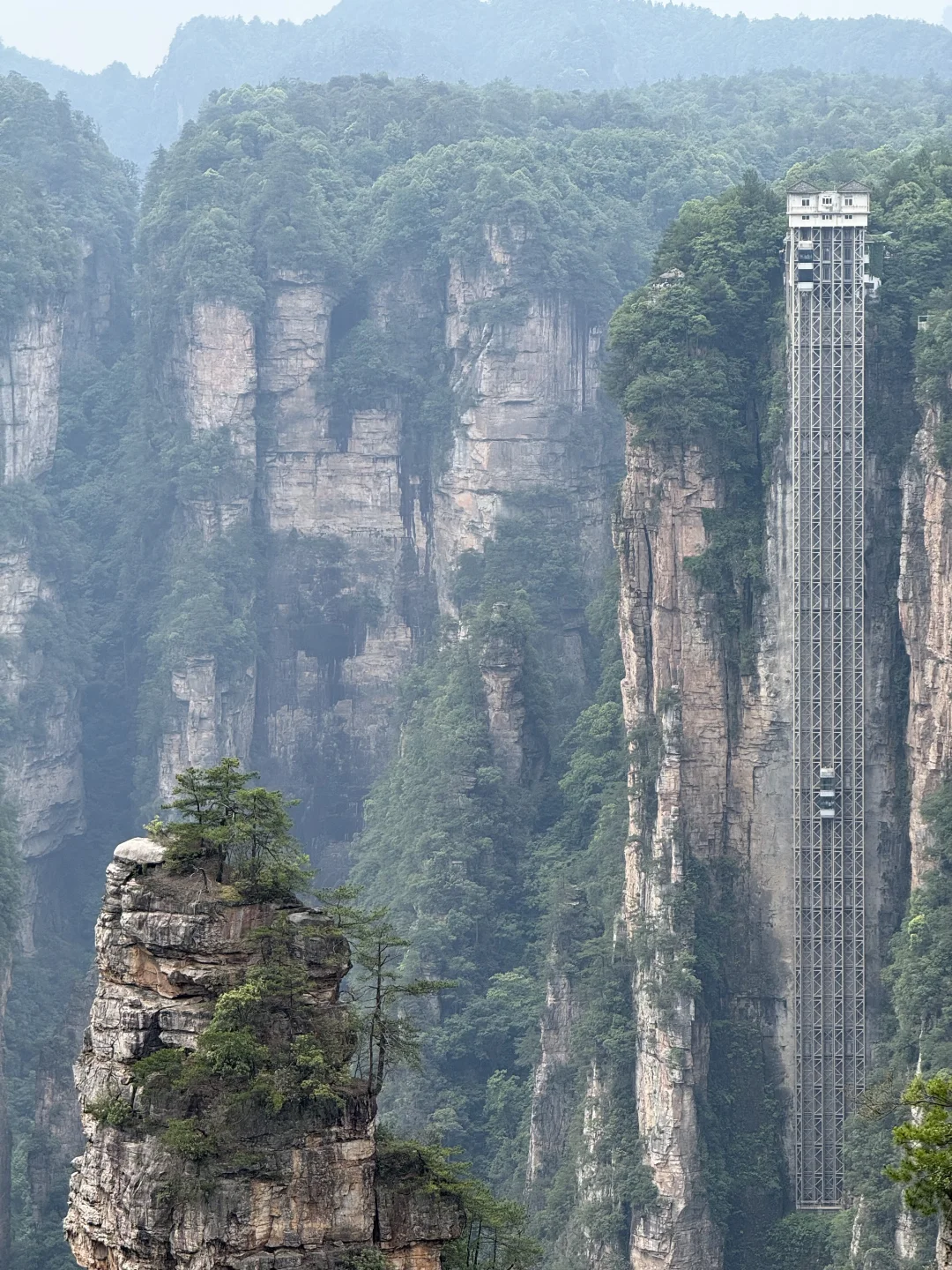 中国张家界国家森林公园～