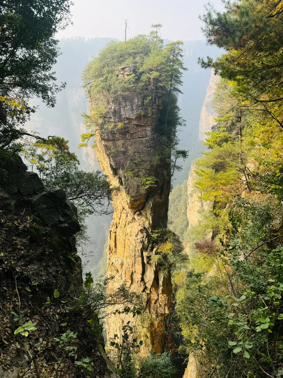 南国之旅9: 湖南张家界