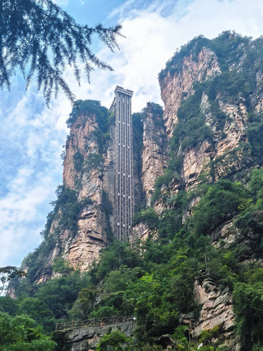 📍𝐙𝐡𝐚𝐧𝐠 𝐉𝐢𝐚 ?