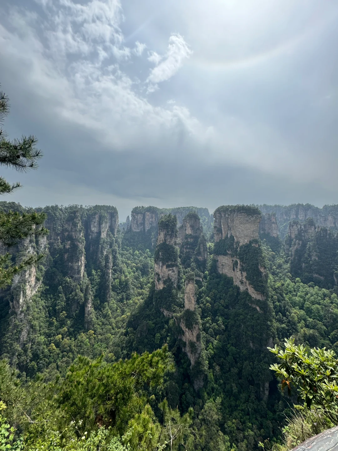 到底是谁在宣传张家界好玩啊，差评差评