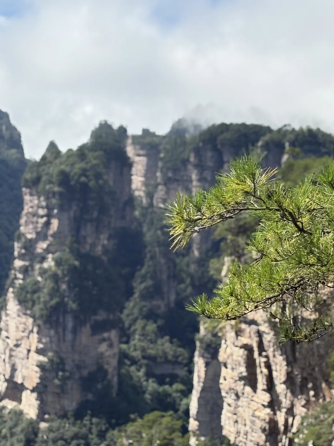 这才是张家界该有的样子