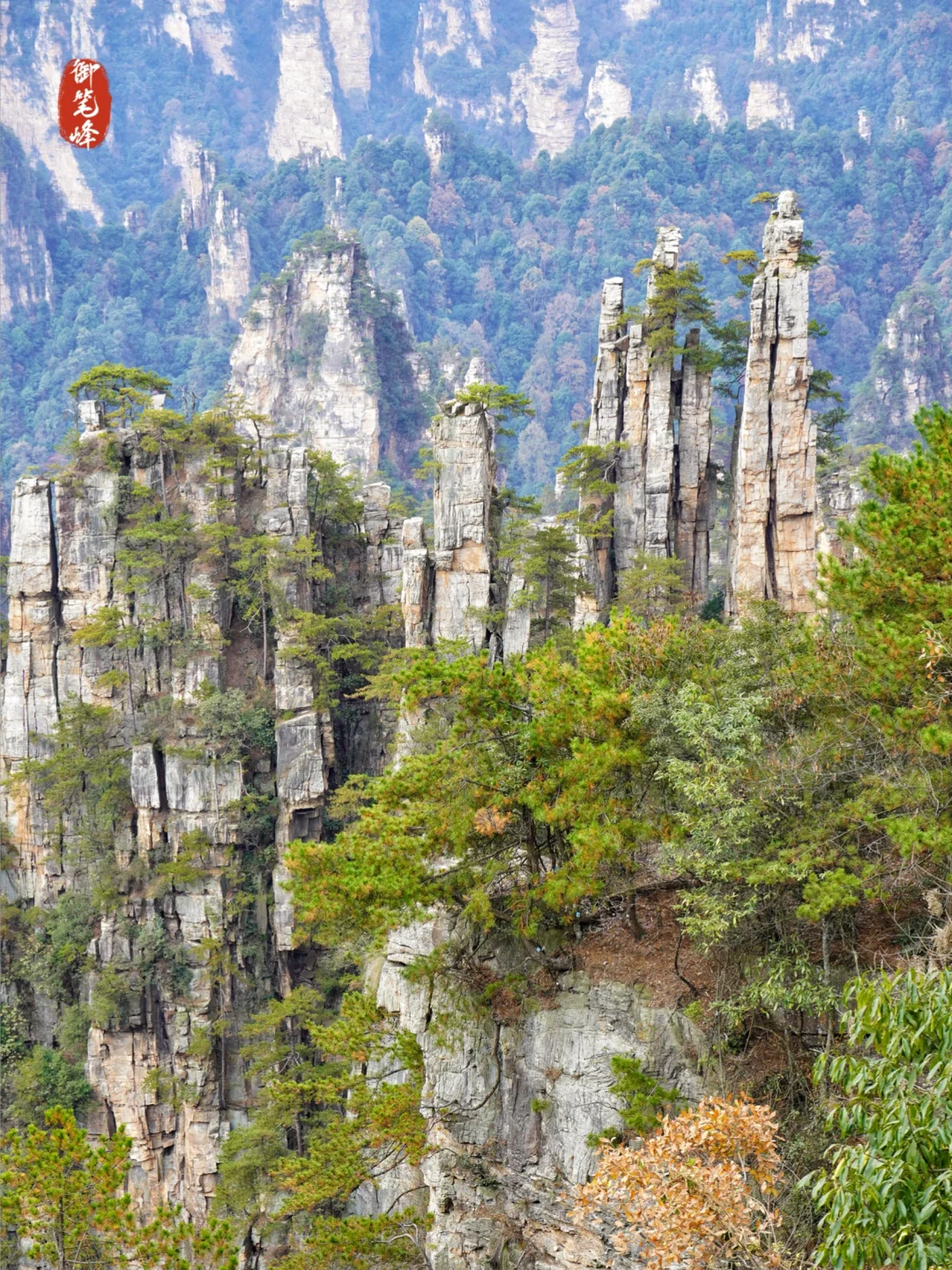 强推淡季的张家界‼️附攻略地图