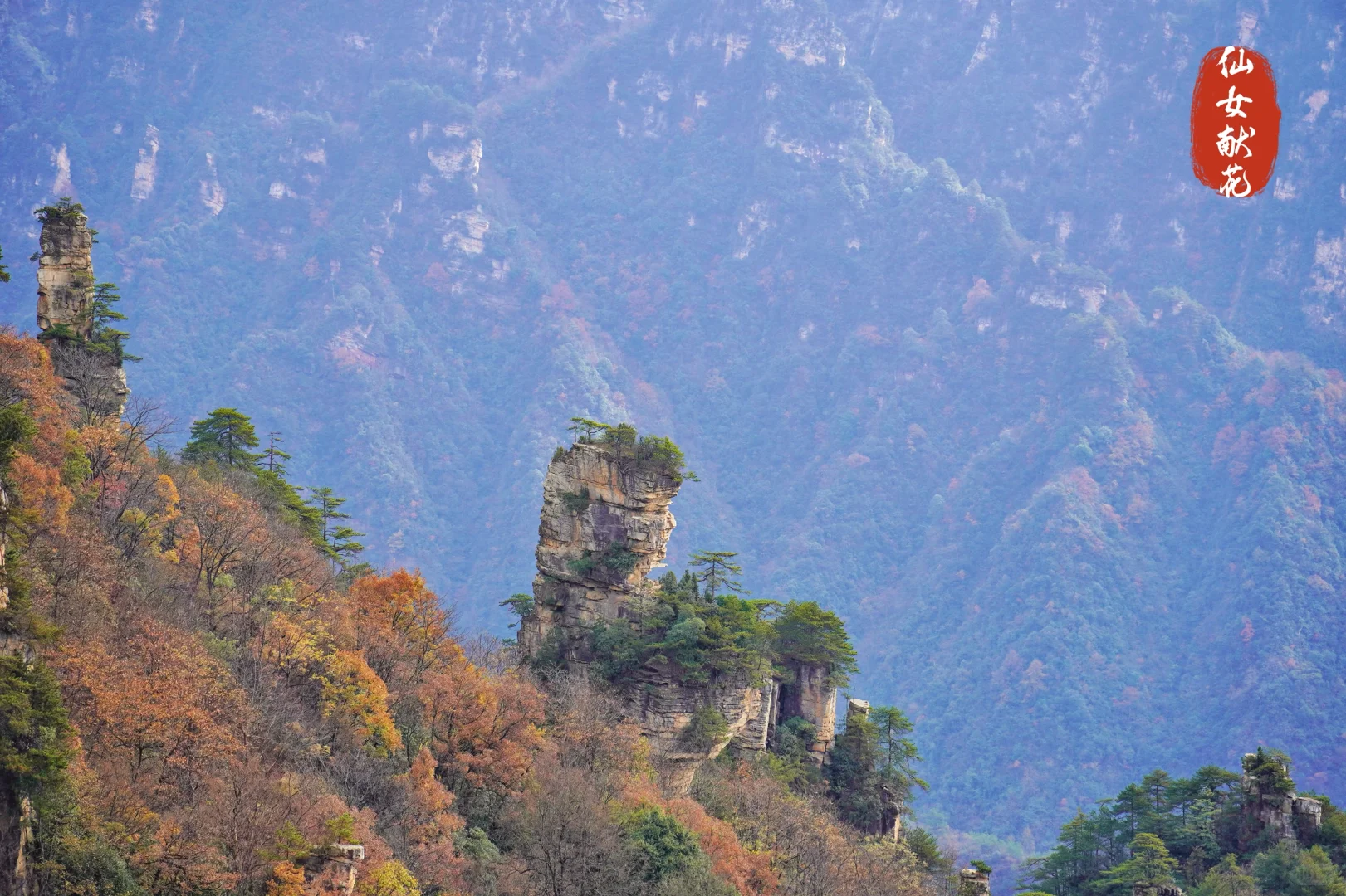 强推淡季的张家界‼️附攻略地图