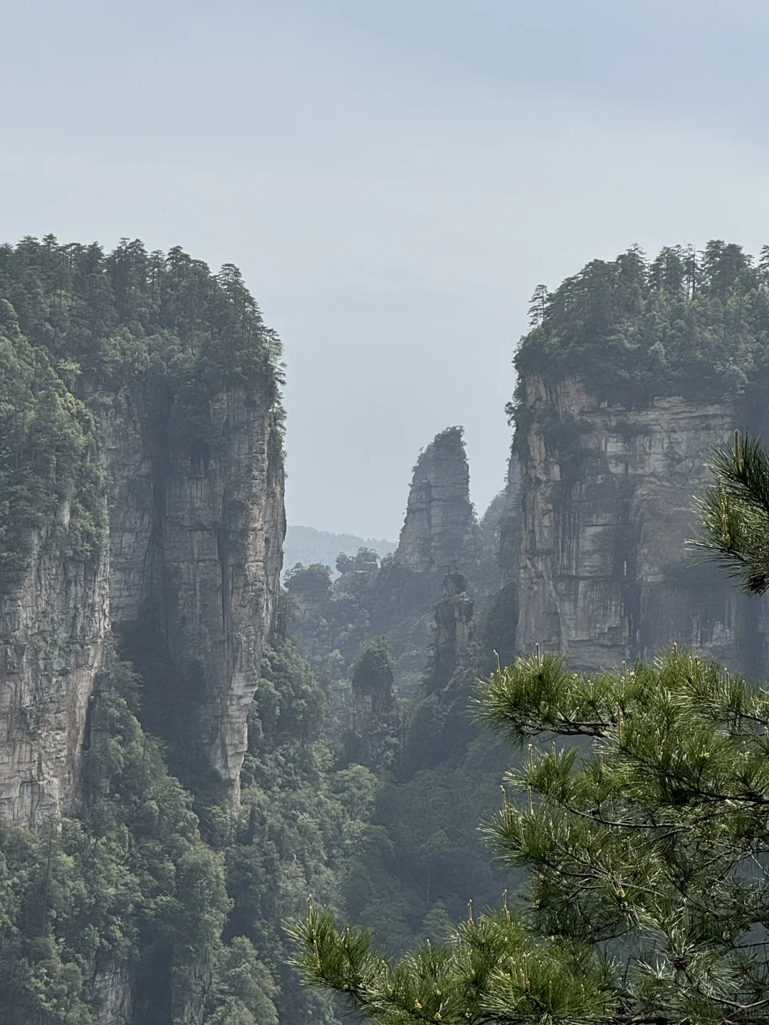 到底是谁在宣传张家界好玩啊，差评差评