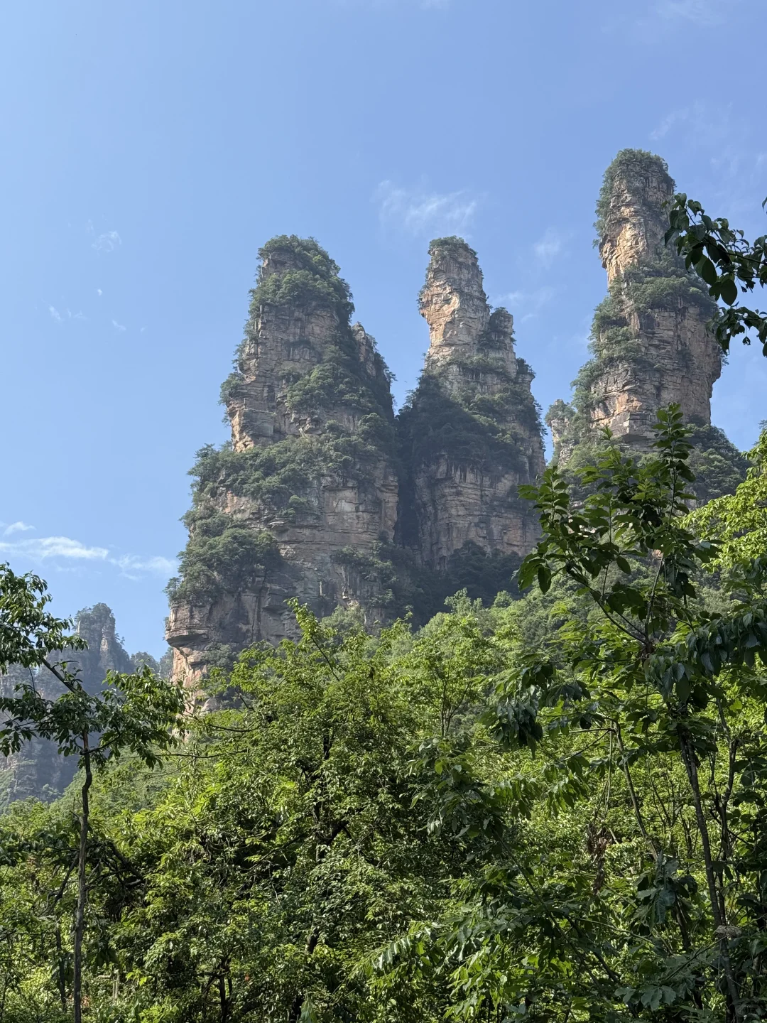 中国张家界国家森林公园～