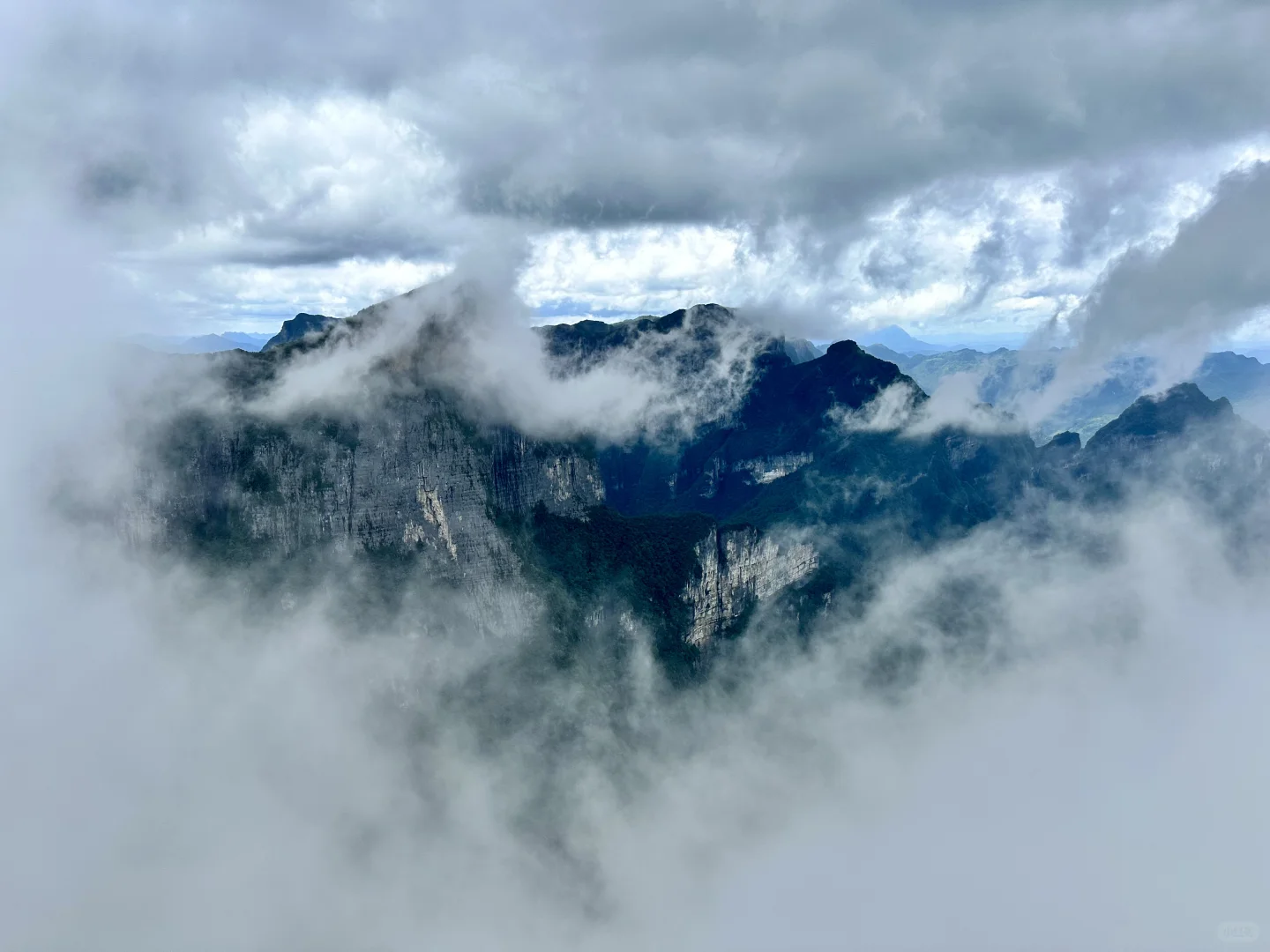 重生之我在张家界当野人