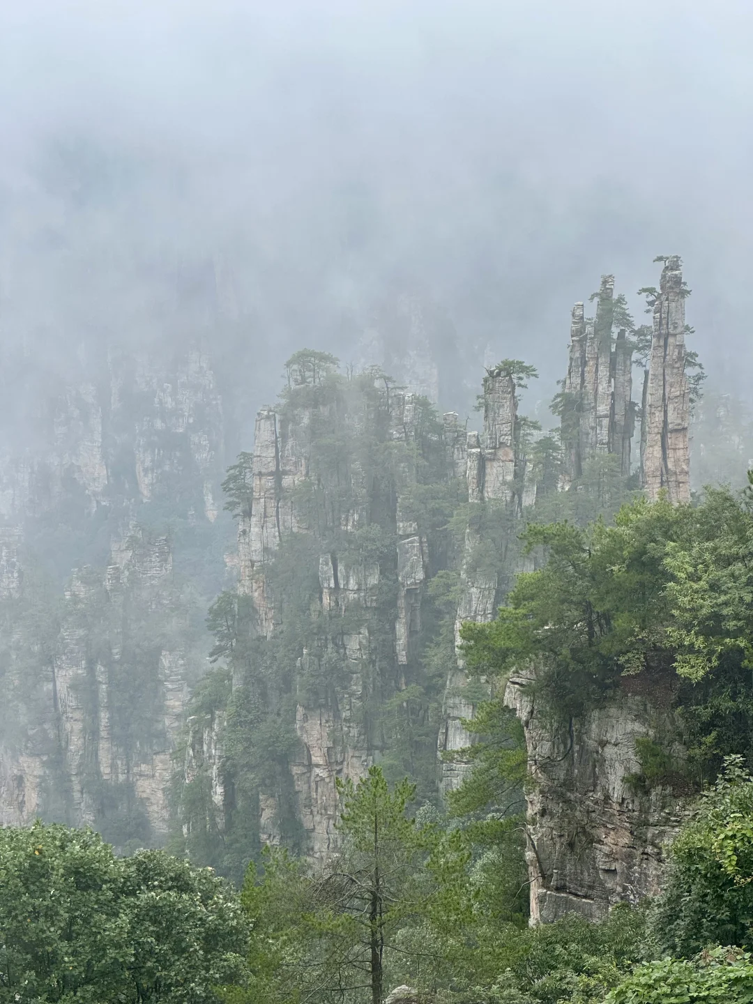 1️⃣适合带爸妈的张家界不费腿攻略