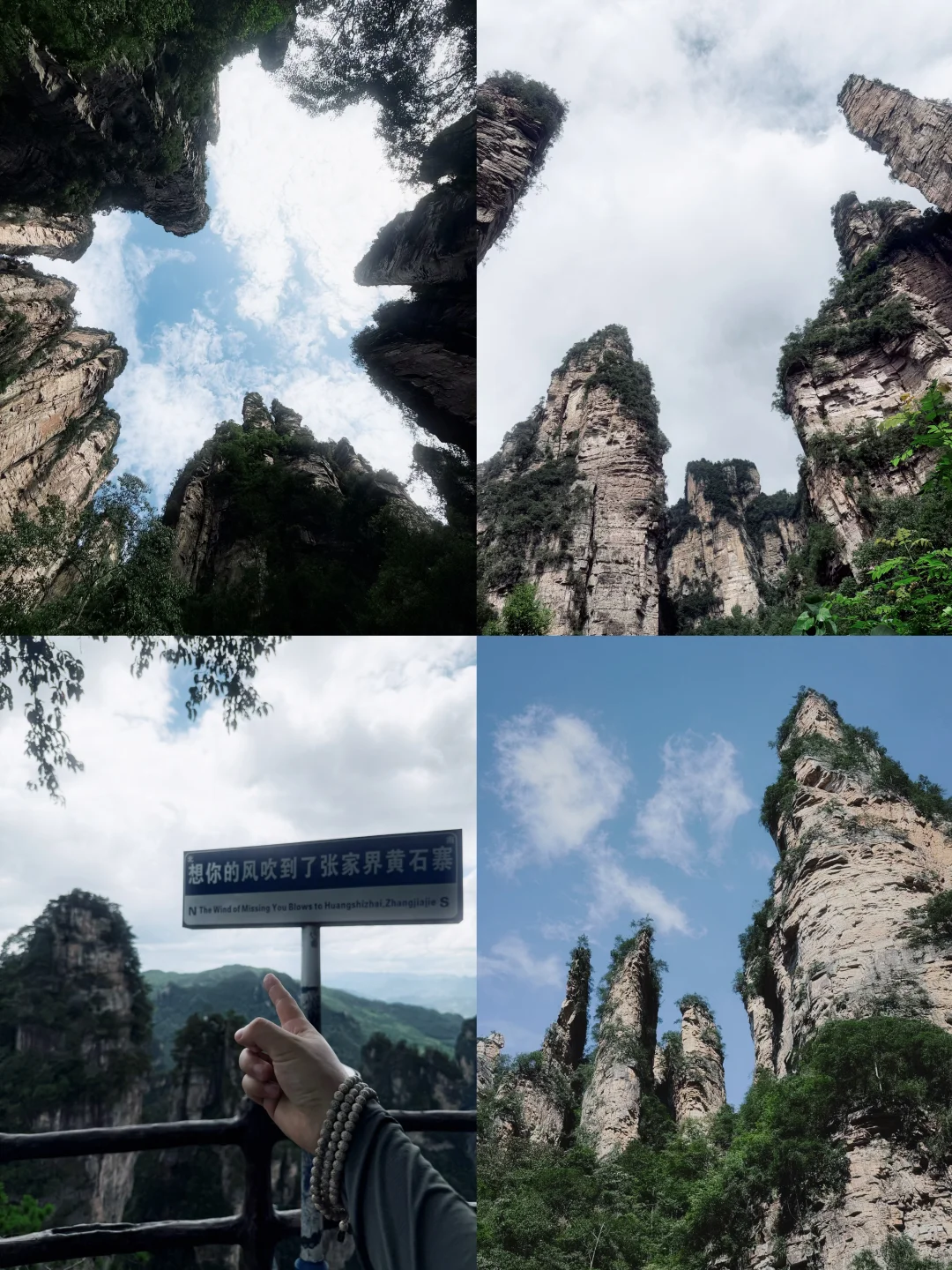 张家界森林公园超详细攻略！门票游玩全说明