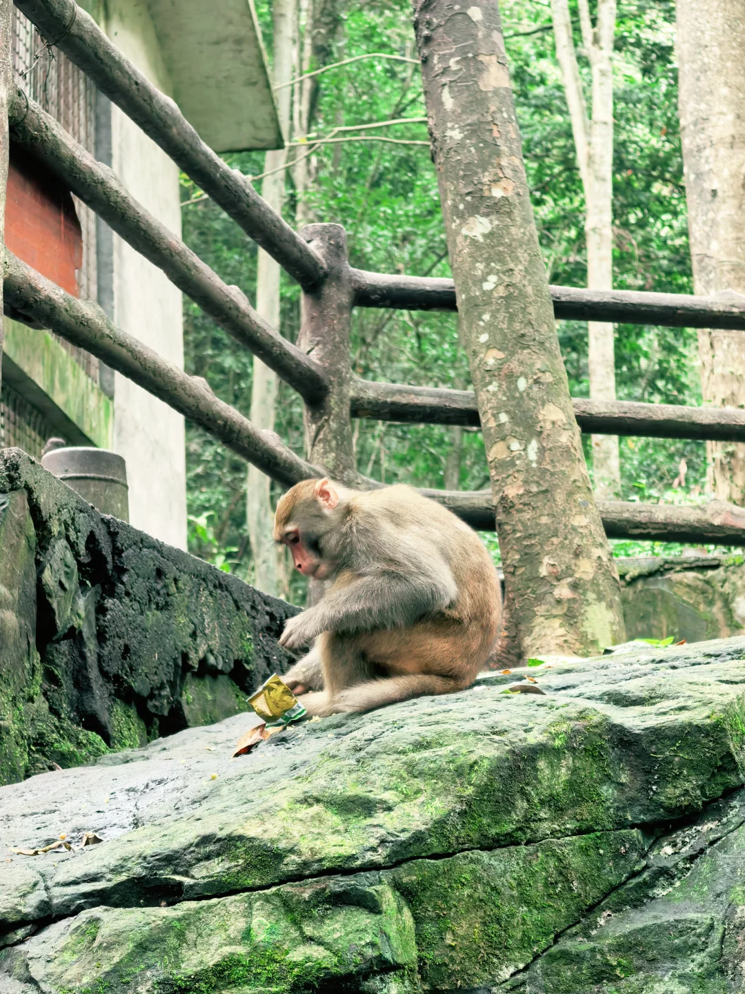 📍张家界 | 武陵源