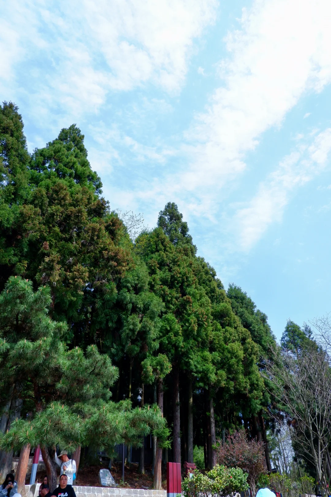 闯入阿凡达的潘多拉星球⛰️
