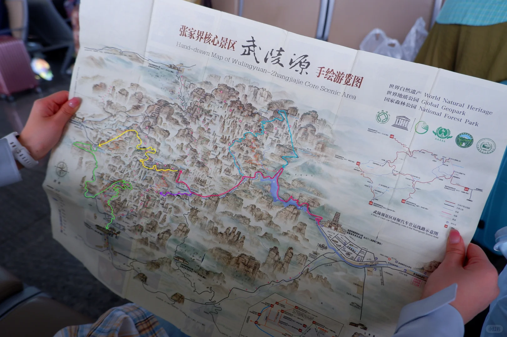 闯入阿凡达的潘多拉星球⛰️