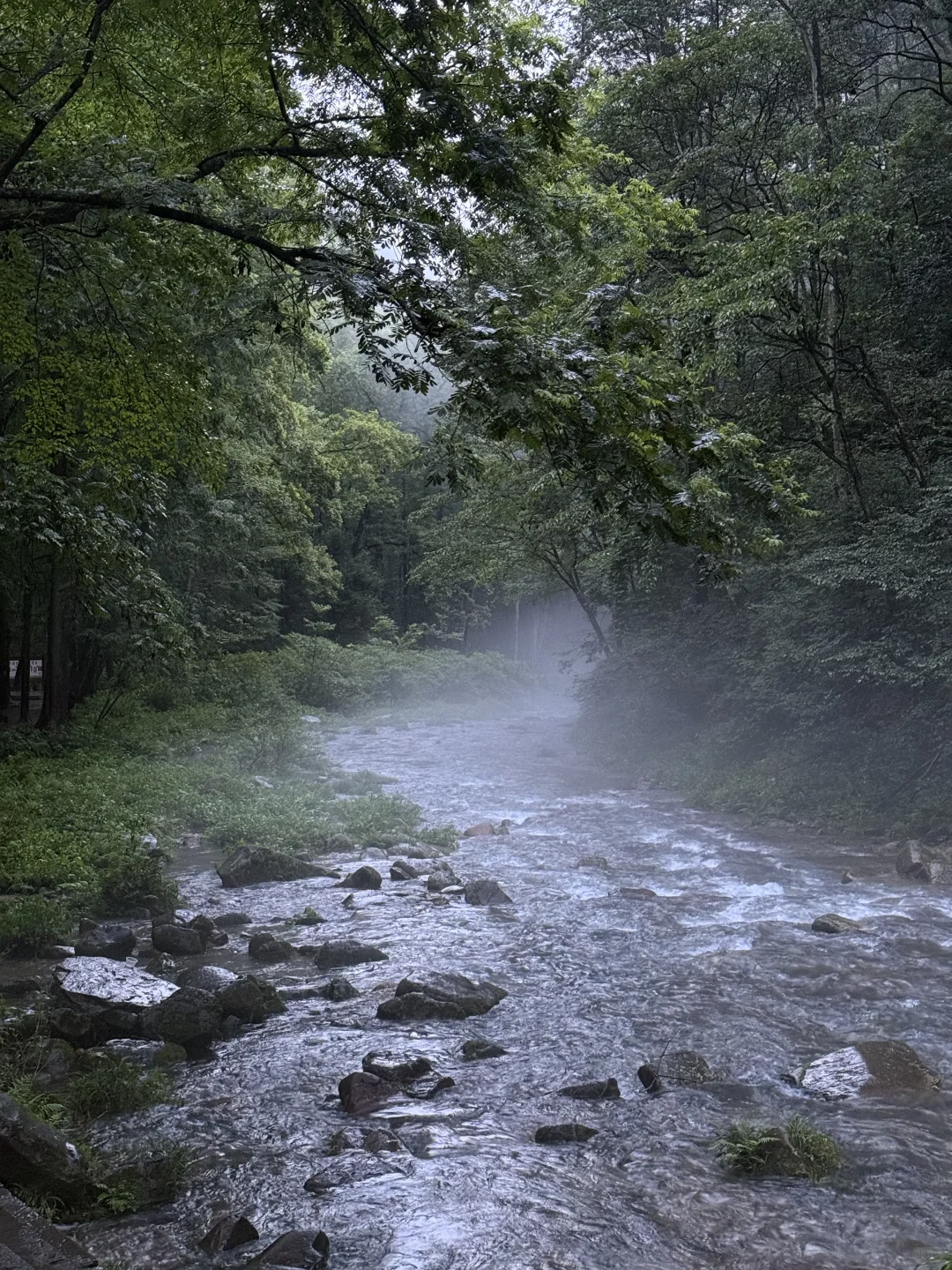 作为湖南人，真的后悔才来张家界，附详细路线