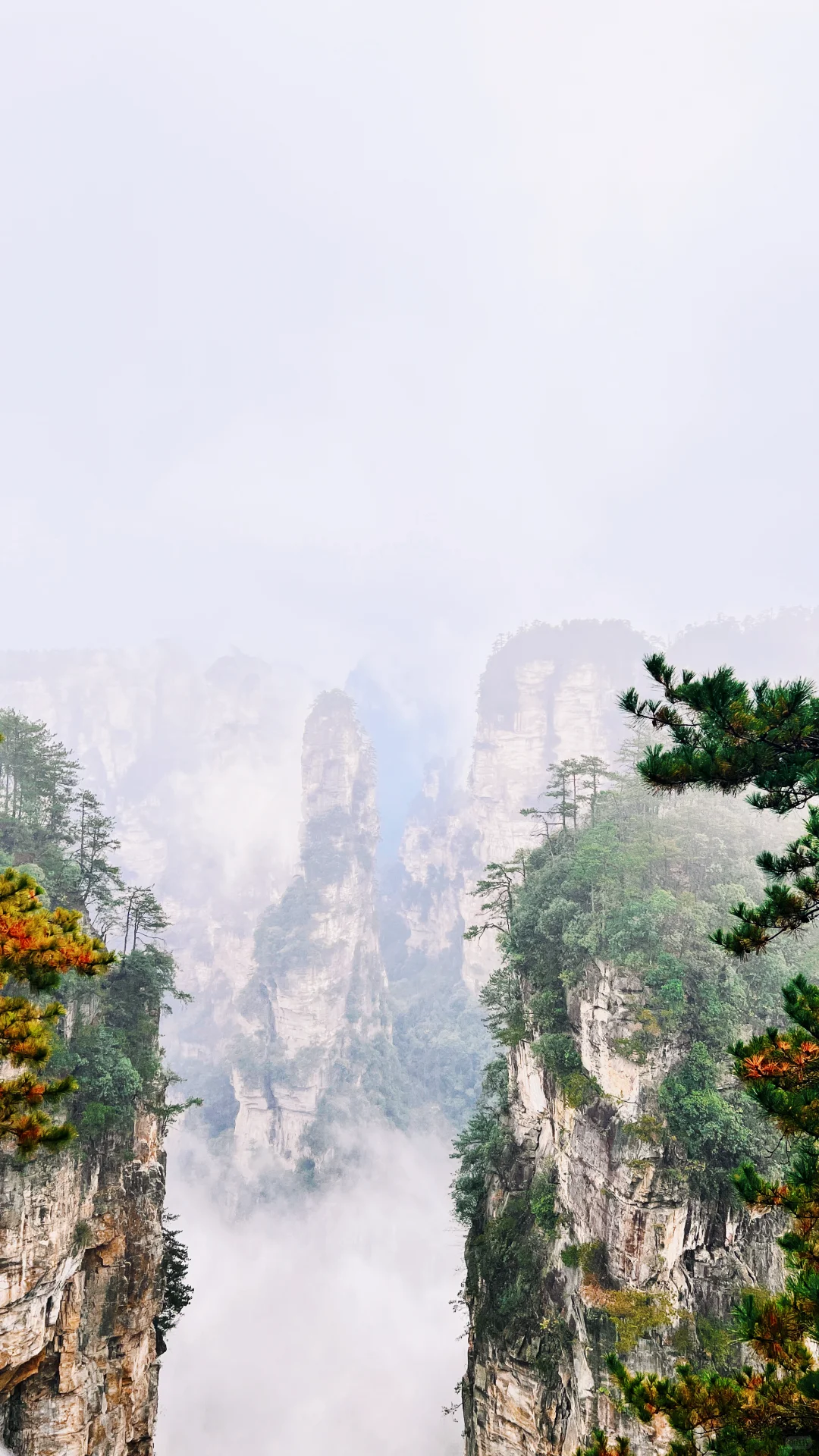 12月份的张家界国家森林公园
