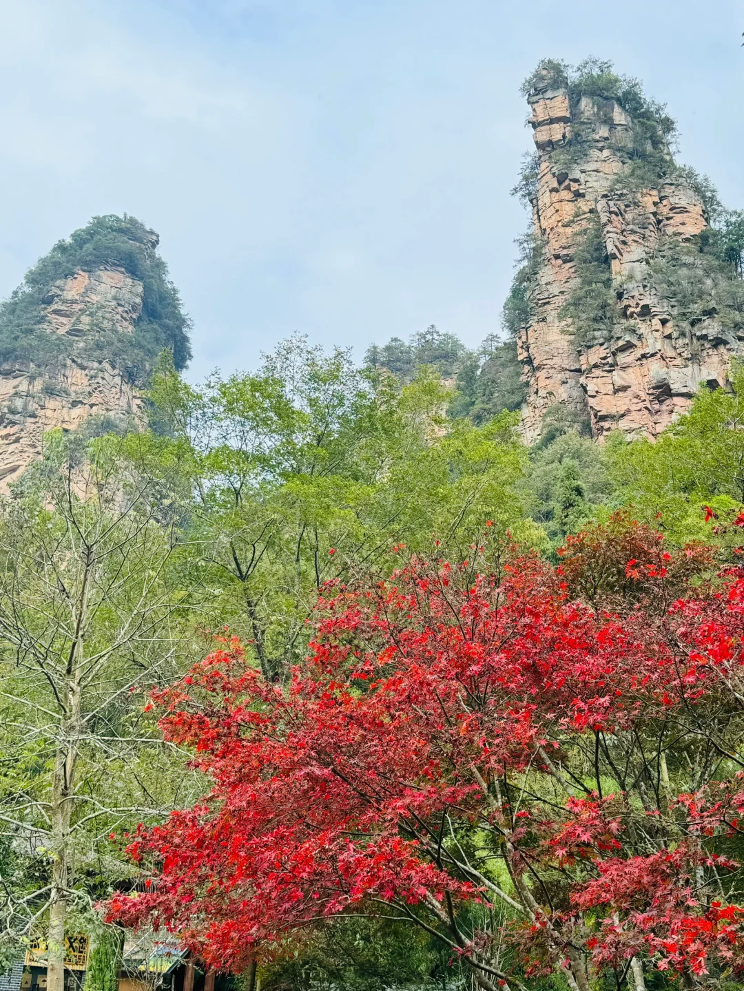 南国之旅9: 湖南张家界