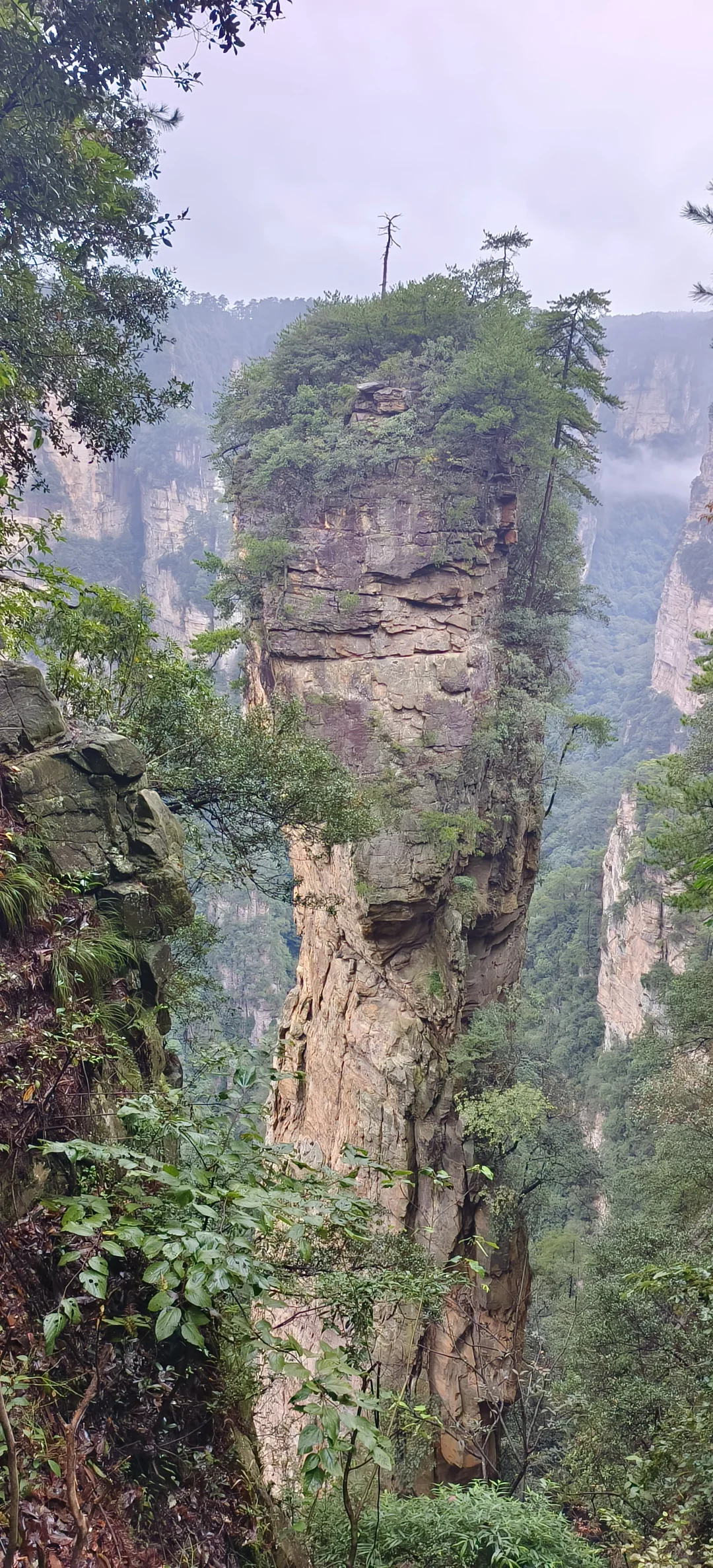 张家界森林公园2日路线(精华版)