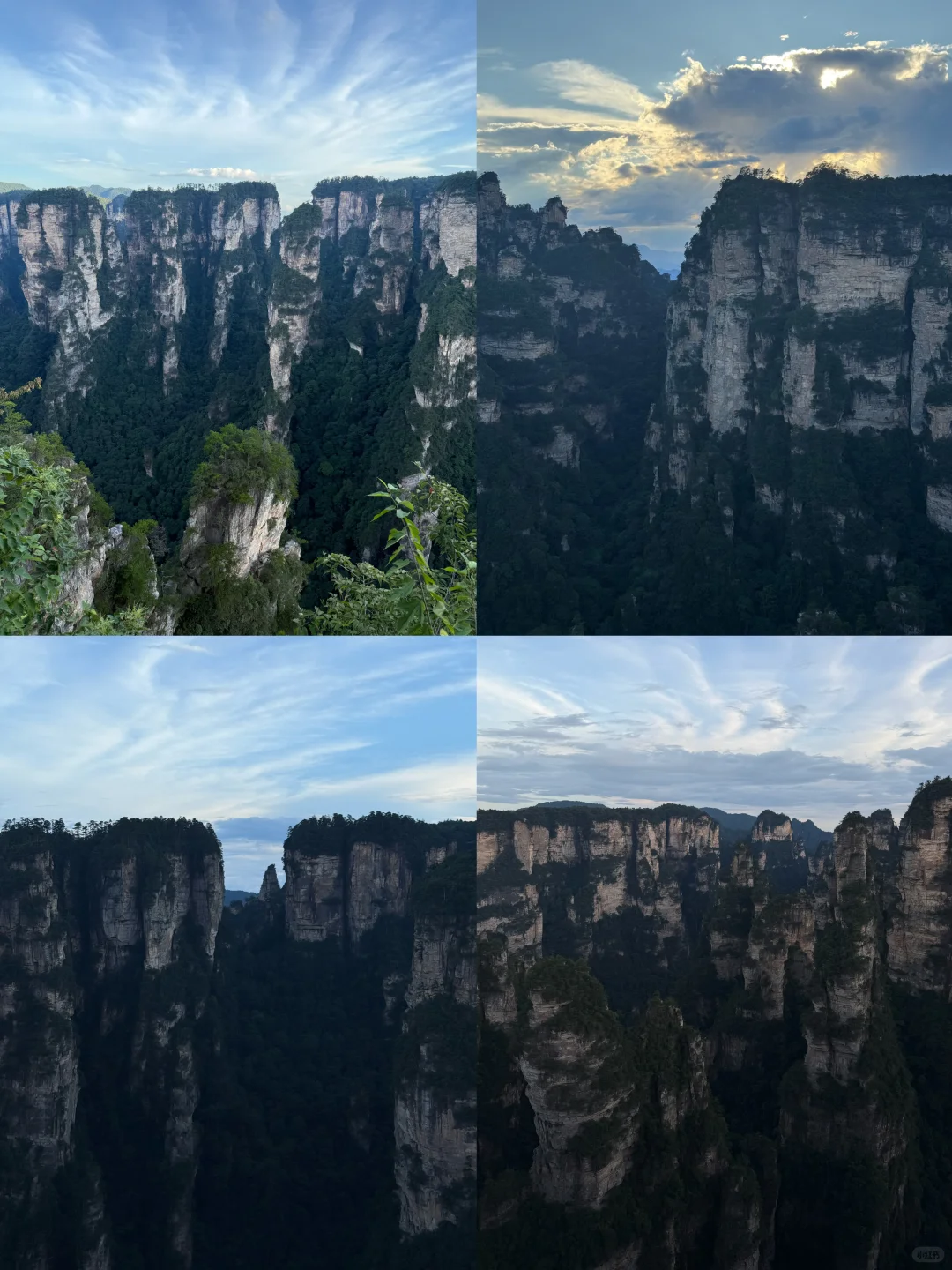 张家界森林公园超详细攻略！门票游玩全说明