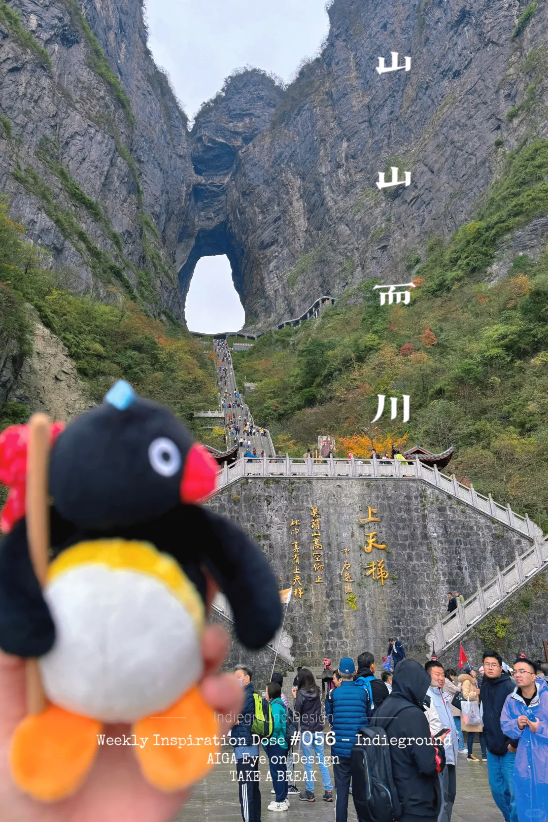 拥抱秋日的张家界 天门山篇🌳