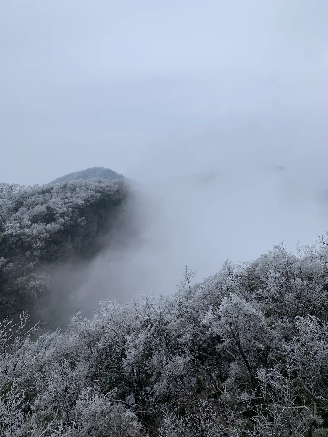 来张家界如何游玩？！