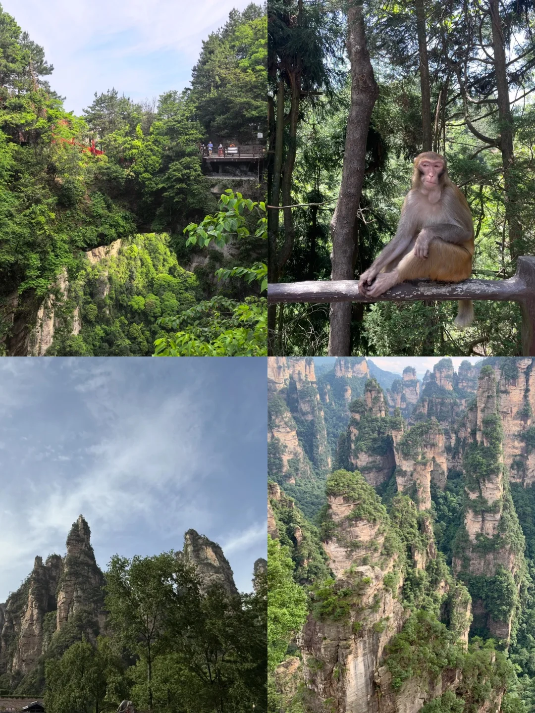 二刷张家界刚回，攻略和避雷总结如下