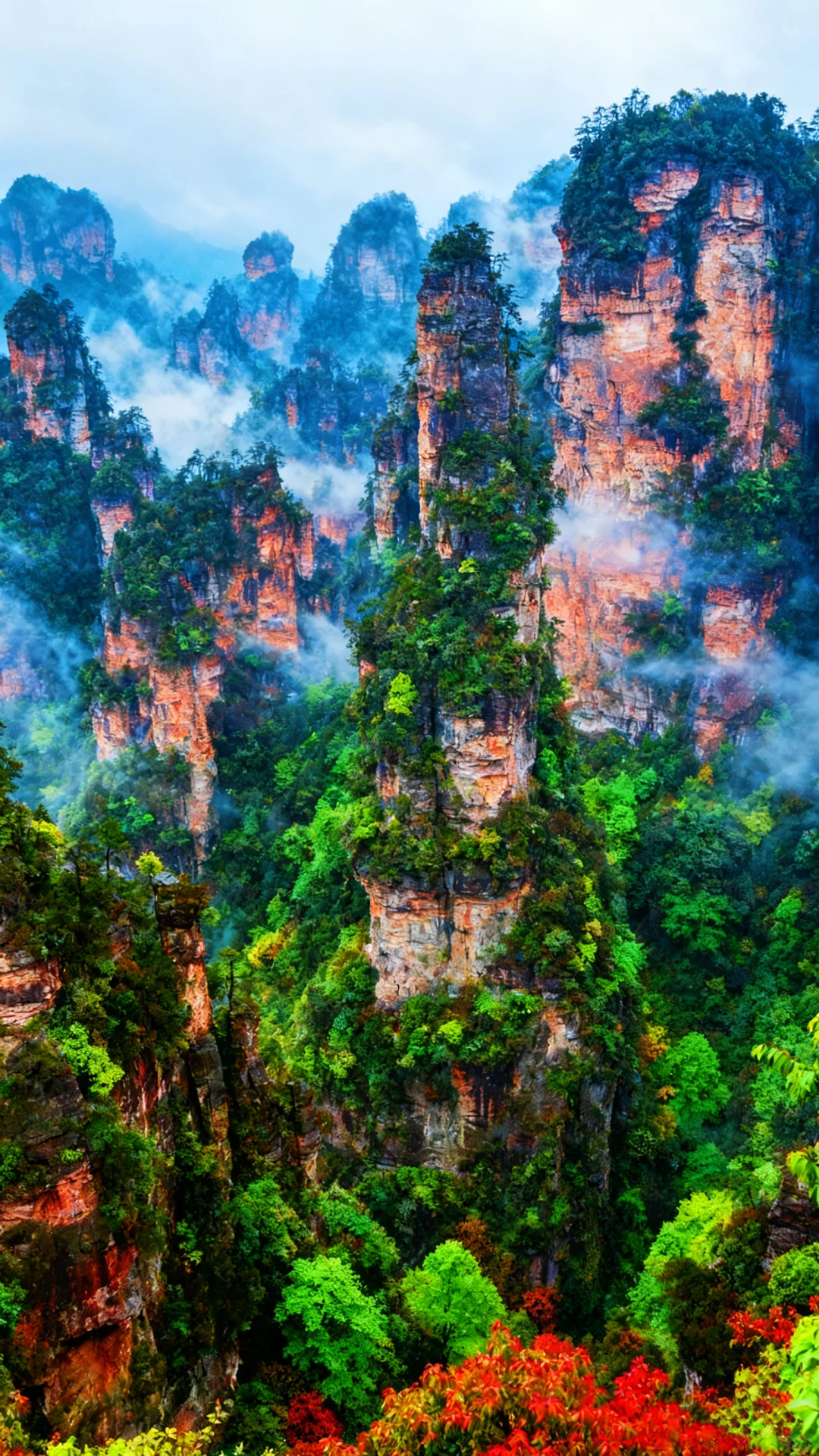 一不小心误入仙境