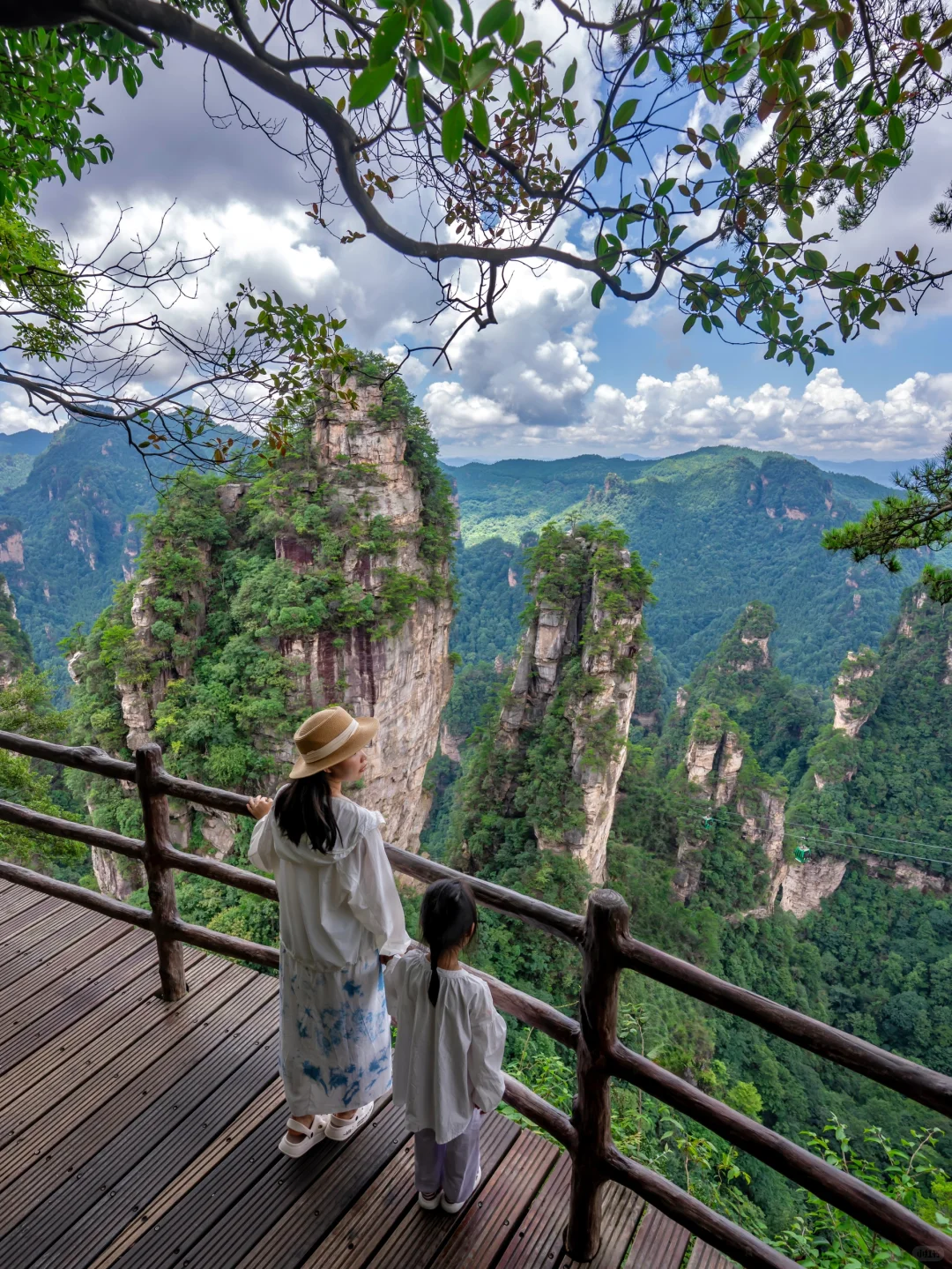 作为湖南人，真的后悔才来张家界，附详细路线
