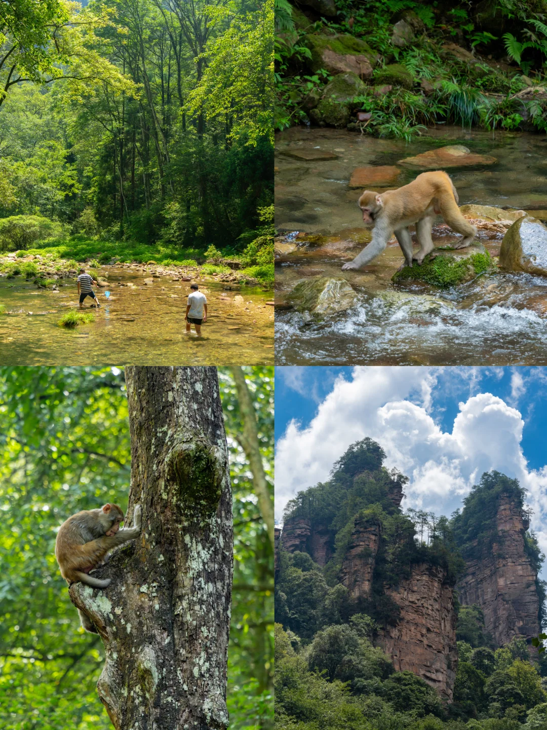 不愧是《国家地理》评为此生必去，真的绝‼️